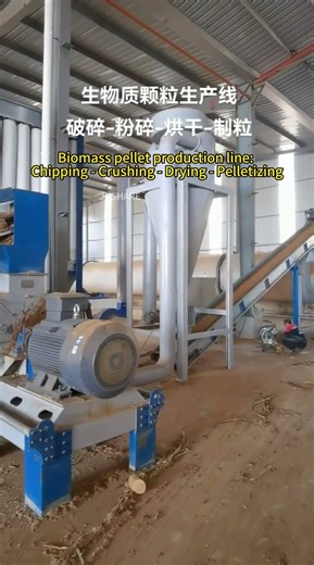 Biomass pellet production line.#pelletmill #pelletmachine #biomassfuel #biomasspelletmachine