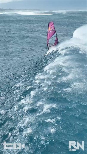 Windsurfing Lanes Kona Wind - DRONE SHORTS