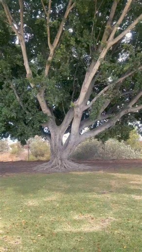 My verse from 'Refresh Page' | Bitter Belief