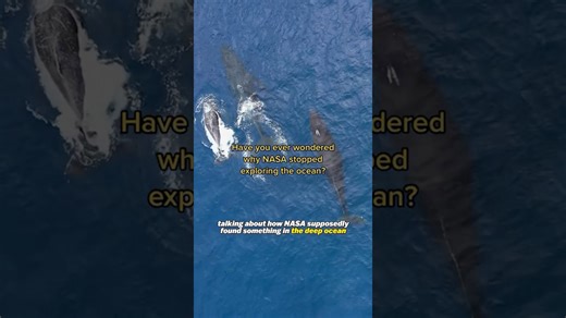 Did NASA find Aliens in The Ocean in 1978?