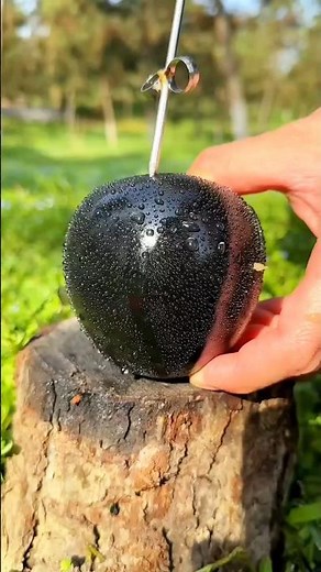 Enjoy Fruit Cutting