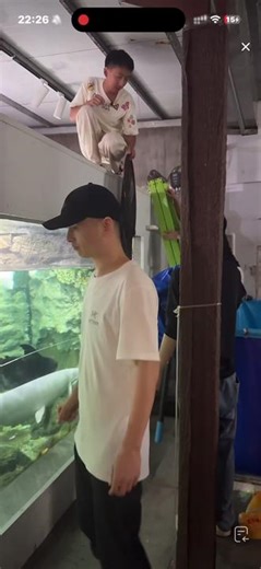 刀疤鲤出缸直播录频全程 #鲤鱼 #刀疤鲤 #刀哥 刀疤鲤刀哥出缸进缸录频全程刀哥全程都很乖啊,刀疤鲤出缸全过程直播- 抖音