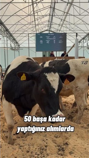 Dost Mezat’ta 2. Müjde!