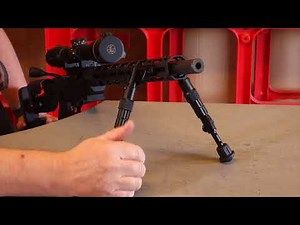 Ruger Rimfire Precision Rifle Review