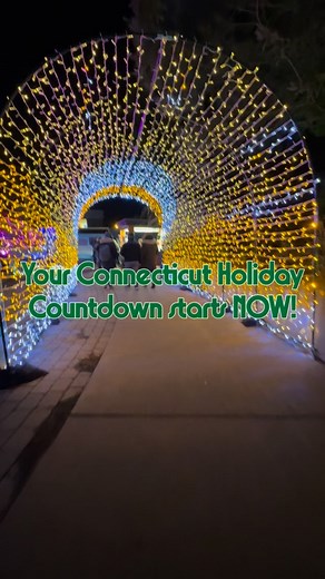 🎄 Connecticut turns into a winter wonderland every December — with twinkling light shows, cozy Christmas tree farms, magical Polar Express train rides, and festive Santa visits all season long. I’ve gathered the best places for families to celebrate — from sparkling displays and classic shows to cheerful events that bring everyone together. ✨ Want my Free Connecticut Christmas Bucket List to help plan your family’s most magical Season yet? Head to the link in my bio right now! | Mommy Poppins C