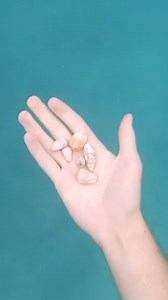 Trying Again After the Algorithm Glitch – Another Underwater Hawaii Adventure