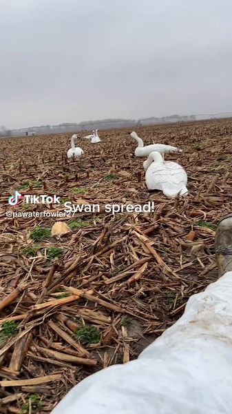 PAWaterfowler27 on TikTok