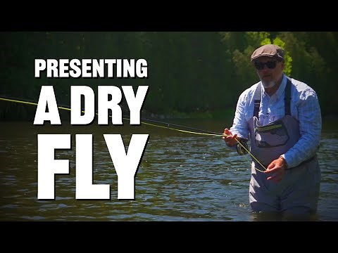 Dry Fly Presentation Tip