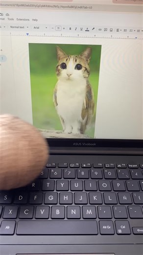 Creative Crochet Projects for Beginners