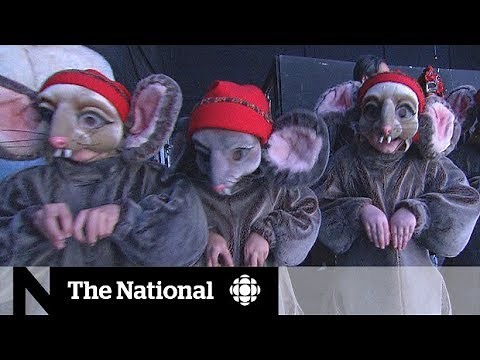The Nutcracker: A backstage look at The National Ballet