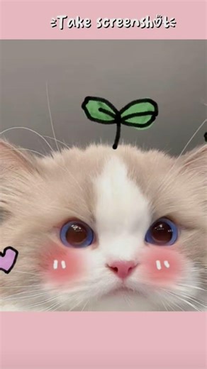 Asthetic screen shots