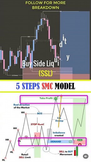 SMC MODEL Secrets Only Experts Know
