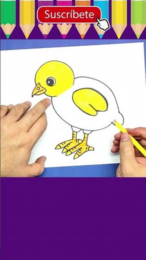 Como dibujar un POLLITO y colorear