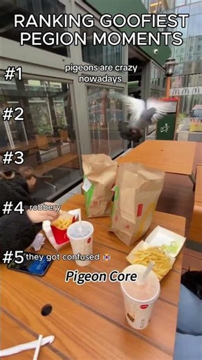 Ranking the Goofiest Pigeon Moments 🕊️ #PigeonCore