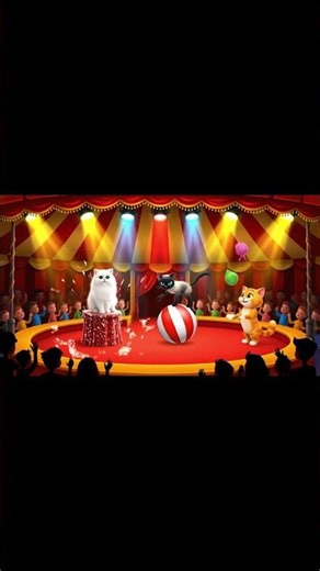 Circus Cat Show 🎪🐱🎉