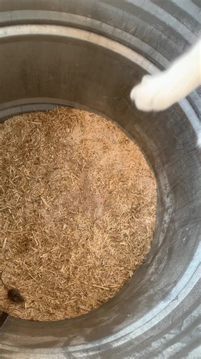 Videos de 🥷🏼Mendoza🥷🏼 (@mendoza5904) con “sonido original - anime.fans”