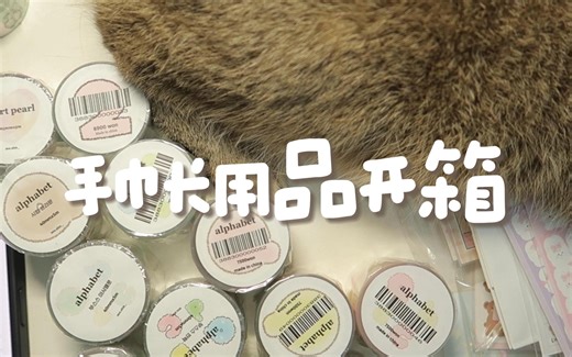 开箱记录｜未完待续文创｜1688字母贴｜WM水怪家｜樱糖糖手帐铺｜木蝉司｜听听团清货｜圈圈团清货｜黑大帅清货｜对货真的累着本猫了📦