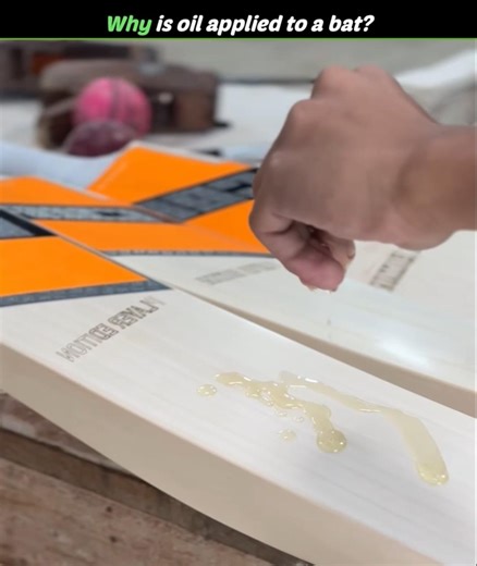 Bat पर oil क्यों लगाया जाता है 😱 #cricket #bats #oil #cricketlover #tranding #viralreels