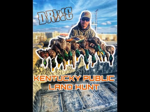 Duck Hunting Ballard Co Kentucky HD 1080p