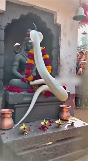 Jai naag dev🔱❤️#shorts