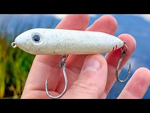 Do Speed Clips Affect Topwater Lure Presentation? Fish-Catching Proof!