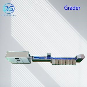 [Hot Item] 2025 New Design Apple Sorting Machine with Weighing Scale for Packing