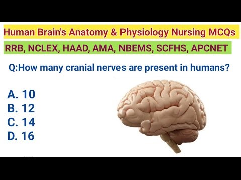 100 Human Brain Anatomy and Physiology MCQs For RRB NCLEX, NMC, DHA, HAAD, USMLE, and Nursing Exams”