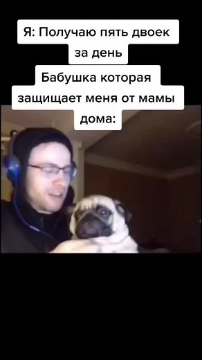 Hilarious Memes and Mops in 2021-2022