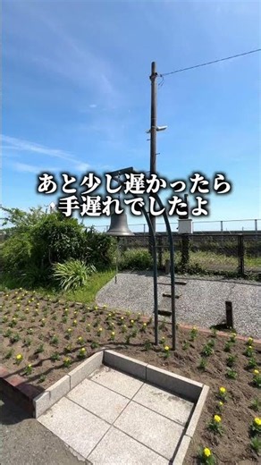適応障害を寛解できた理由。
