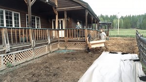 How to Use the Lasagna Gardening Method (In 5 Easy Steps)