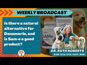 Is there a natural alternative for Denamarin, and is Sam-e a good product? | iPet's Ally 11-08-21