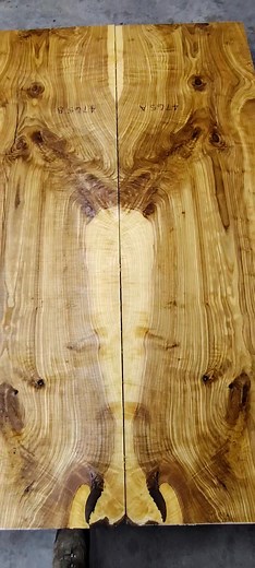 1.9K views · 52 reactions | Milled a cool Ash log today | Logs To Lumber | Facebook