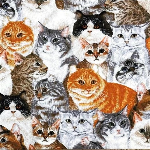 Cats Scrub Cap - Etsy