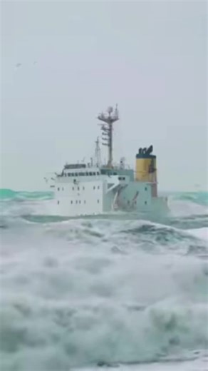 Grounded: Creative Solutions for Daily Challenges