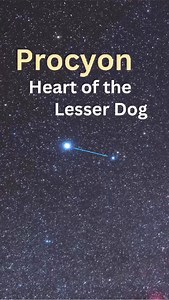 289 reactions · 26 shares | Procyon is the 8th brightest star in the night sky. Finding it is easy. Use the shoulders of Orion to aim you towards this bright, binary system | Learn the Sky | Facebook