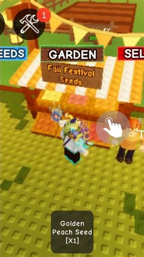 divine gk dapet maple resin