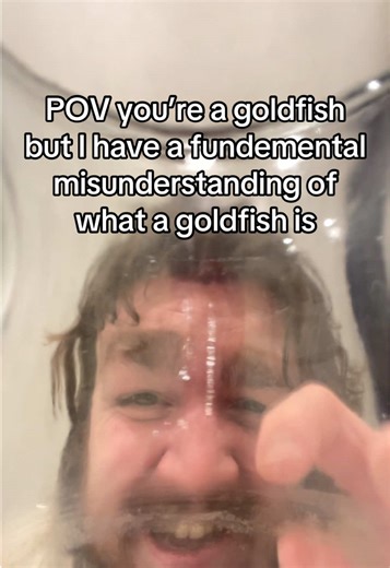 My golden goose (fish?) #pov #goldfish #misunderstood | Goldfish
