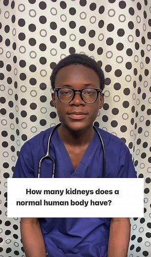 Understanding the Anatomy of the Urinary System