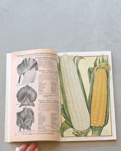 The Burpee Catalog has been part of gardeners’ lives for generations. For many, it’s a winter ritual, a spark of hope and the start of gardens that shaped families, traditions, and lifelong passions. 🌱✨ What memories does the Burpee catalog bring back for you? 💭 📷: The 1919 Burpee Catalog | Burpee Gardening