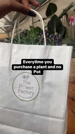 Every thriving plant starts with the right home. A beautiful pot isn’t just a container, it’s a statement. It’s the difference between a plant that sits in a corner and one that commands the room. Clad your plants in opulence. Elevate your space with our stunning pots, available in different sizes and types to suit every plant and every aesthetic. Your plant deserves better than ordinary. 🌿✨ DM us to order.