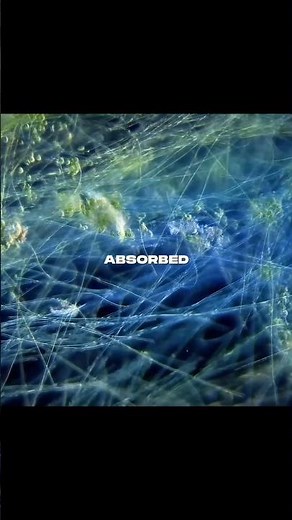What caused the sudden rise of oxygen in Earth’s atmosphere?