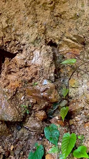 #creatorsearchinsights FECEBOOK: Yopi gold treasures IG: Yopi gold treasures