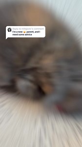 25 reactions | Treat your cat to a unique monthly surprise with...