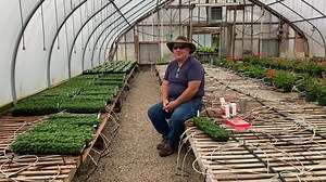 📺🕷 In this week's video Kim talks about the products we have in stock that will help control pests and blight in your summer garden. You'll want to watch and learn how these products can help protect your garden. | Kim's Greenhouse