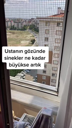 Urban View Through a Window: Exploring City Life