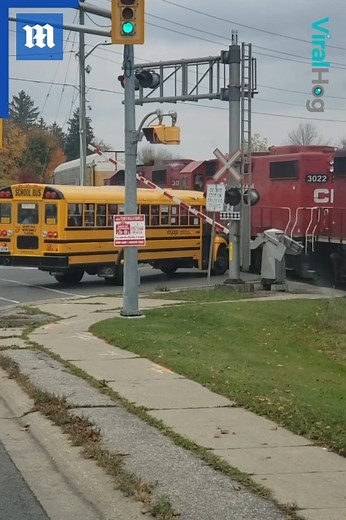 157K views · 849 reactions | This school bus full of kids is inches away from the train tracks  via ViralHog | Daily Mail Video | Facebook