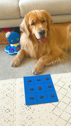 429K views · 9.5K reactions | I bet you forgots I’m a tic tac toe genius! #FlashbackFriday #tictactoe | MARLEY NYC | Facebook