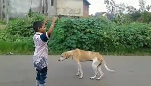 Dance wo b janwarrr k Sath | Kito apna