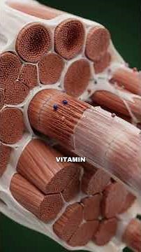 Vitamin D in the Morning – Does It Actually Work? An Honest Answer! 💊😴