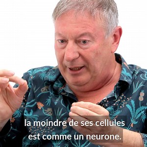 La théorie de Darwin aurait-elle été mal comprise ? Les plantes, que nous commençons tout juste à considérer sous le prisme de la conscience, seraient de véritables alter ego végétaux, douées de sensibilité et dénotant d'un rapport au monde complexe. 🌿🌱 "L'intelligence de la nature" - Beyond S4E3, avec Marc Giraud, naturaliste de terrain, et Stéphane Allix => DÈS AUJOURD'HUI, sur INREES TV ! 🔸Abonnez-vous pour profiter de notre catalogue et de toutes nos vidéos en liens avec nos évènements : 